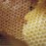 Bee_royal_jelly_logo.jpg