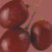 Grape_seed_oil_logo.jpg