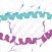 P3_peptide_logo.jpg