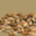 Sesame_oil_logo.jpg