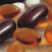 Vitamin_E_logo.jpg