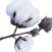 cotton_logo.jpg